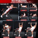 Adjustable Weight Bench for Full Body Workouts