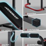 Adjustable Weight Bench Set with Leg Extension & Curl