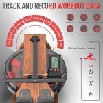 JOROTO Foldable Water Rowing Machine with Bluetooth Monitor