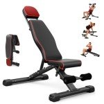 OUNUO Adjustable Folding Weight Bench for All Workouts