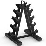 TomCare 4-Tier Dumbbell Rack for Home Gym