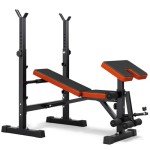 OUNUO Adjustable Folding Weight Bench for All Workouts