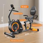 Quiet Recumbent Exercise Bike with 16 Resistance Levels