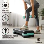 Adjustable Aerobic Stepper with Dumbbells Set