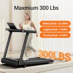 3-in-1 Incline Treadmill for Home and Office