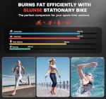 Adjustable Magnetic Resistance Exercise Bike for Home