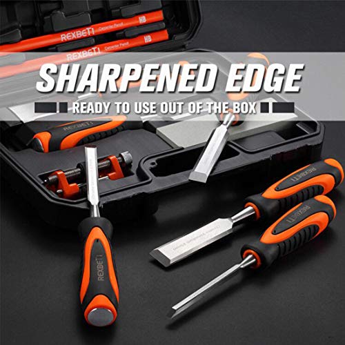 Premium 10 Piece Wood Chisel Set