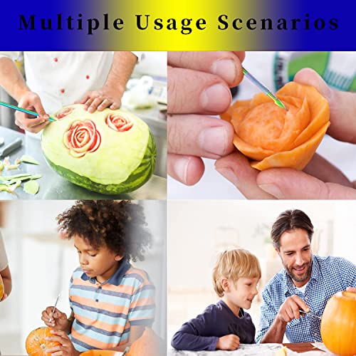 Rainbow Double-Sized Carving Tool Kit with Silicone Container