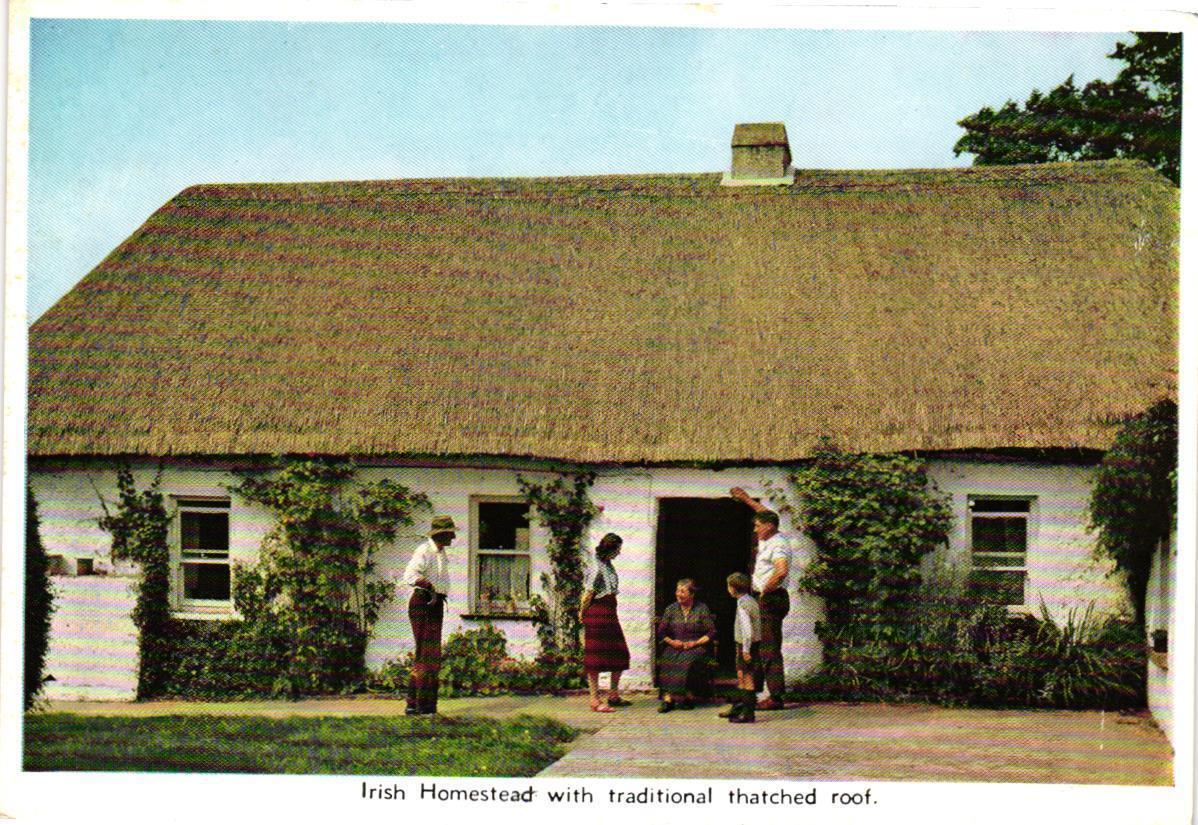 Traditional Irish Thatched Homestead Postcard