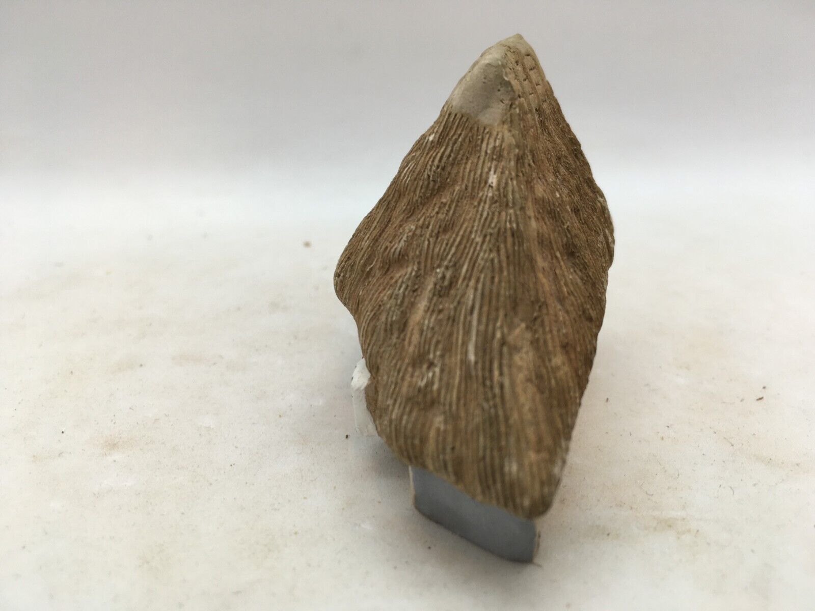 Miniature Japanese Ceramic Traditional Thatched Storefront