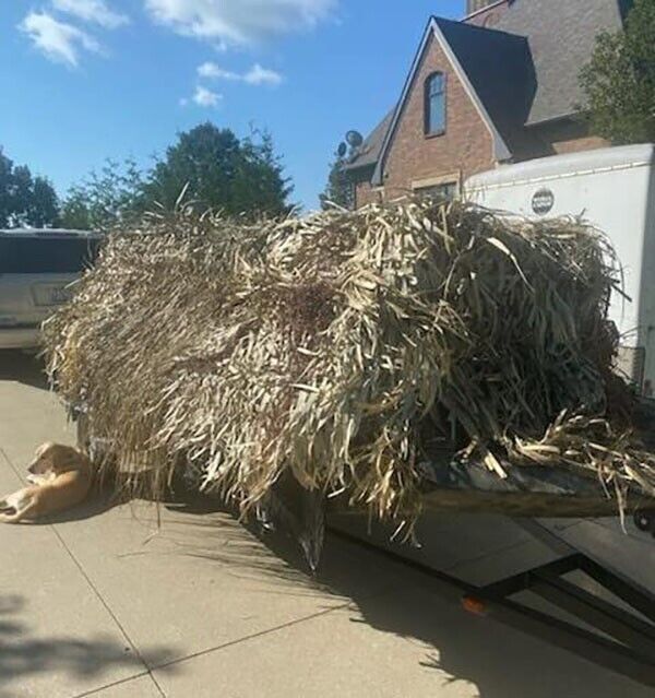 Mexican Straw Roof Thatch Palm Rolls Duck Blind Grass Tiki Bar Huts Boat Roofing