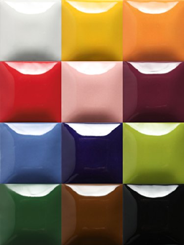 Mayco Stroke and Coat Glaze for Ceramics Kit 3 | 12 Assorted 2 oz Jars with How to Paint Pottery Book