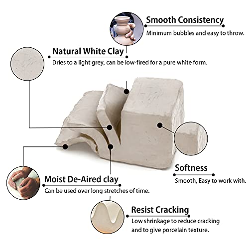 Low Fire White Pottery Clay - 10lbs