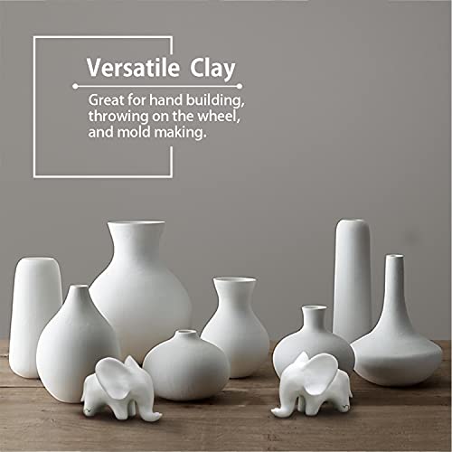 Low Fire White Pottery Clay - 10lbs