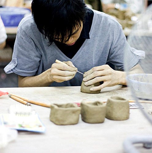 30-Piece Pottery Carving Tool Set with Wooden Handles