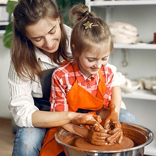 Traditional Terra Cotta Pottery Clay - 5lbs