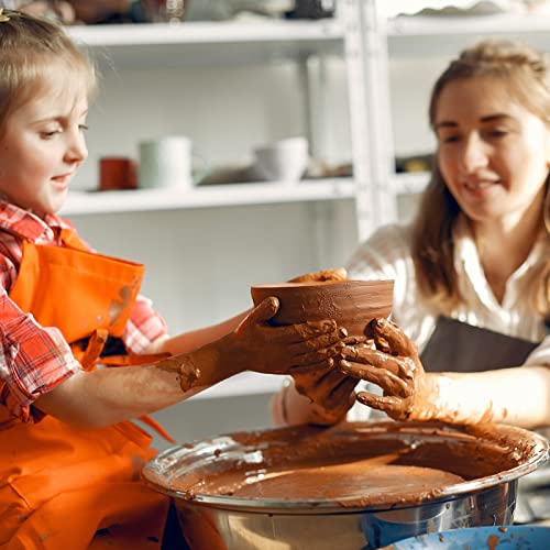 Traditional Terra Cotta Pottery Clay - 5lbs