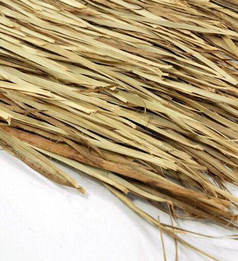 Mexican Palm Leaf Thatching Roll - 15"x7ft