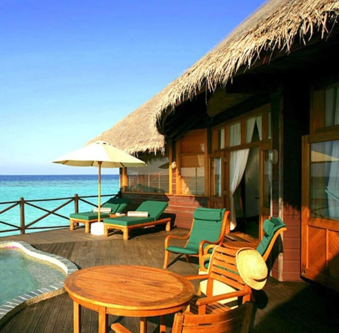 Mexican palm thatch roll 24" x 20ft