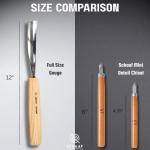 12-Piece Schaaf Wood Carving Chisel Set