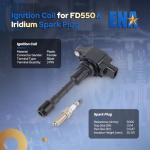 ENA 6-Pack Iridium Spark Plugs and Coils for Nissan
