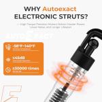 Toyota Rav4 Rear Hatch Lift Struts (2013-2018)