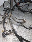 2003 4Runner 4.0L Engine Wire Harness 1147089
