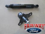 Ford F-150 Tailgate Damper Kit 21-25