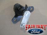 Ford F-150 Tailgate Damper Kit 21-25