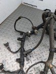 2003 4Runner 4.0L Engine Wire Harness 1147089