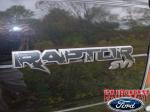 Ford F-150 Raptor SVT Tailgate Emblem 09-14