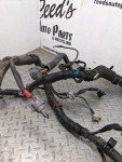 2003 4Runner 4.0L Engine Wire Harness 1147089