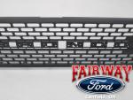 21 thru 26 Bronco OEM Ford Parts Paintable Wildtrak Grille Grill M2DZ-8200-EAPTM