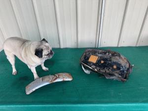 1980s Honda Seat Pan and Front Fender Parts