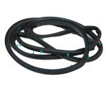 OEM Weather Strip for 2012-2017 Hyundai Veloster