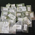 Subaru OEM Gasket Seals and O-Rings