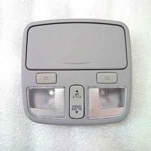 Gray Overhead Console Lamp for 2009-2010 Hyundai Sonata