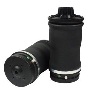 Rear Air Suspension Spring Bags for Mercedes Benz