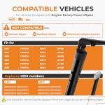 Toyota Rav4 Rear Hatch Lift Struts (2013-2018)