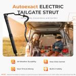 Toyota Rav4 Rear Hatch Lift Struts (2013-2018)