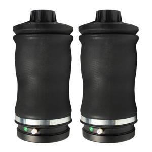 Rear Air Suspension Spring Bags for Mercedes Benz