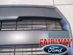 2015-2017 F-150 OEM Magnetic Grille without Camera