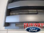 2015-2017 F-150 OEM Magnetic Grille without Camera