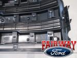2015-2017 F-150 OEM Magnetic Grille without Camera