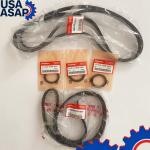 OEM Timing Belt Kit with Water Pump for Accord Odyssey