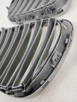 BMW OEM Grille 10627110 LH/RH by Gerhardi