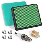 Honda GCV160 Air Filter Tune-Up Kit