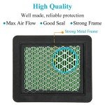 Honda GCV160 Air Filter Tune-Up Kit