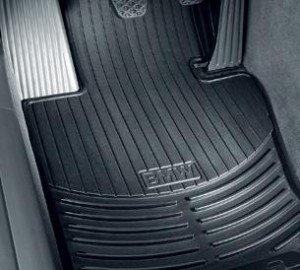 BMW X5 E70 Factory OEM Front Floor Mats Set