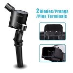 MAS Ignition Coils & Motorcraft Spark Plugs Set